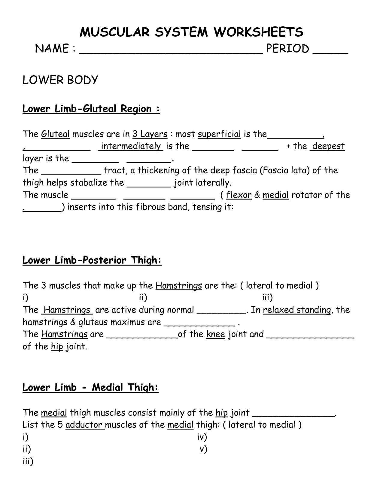 Free Health Worksheets for Elementary Along with Ungewöhnlich High School Anatomy and Physiology Worksheets Galerie