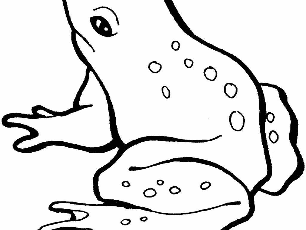 Frog Dissection Worksheet and Frog Coloring Pages for toddlers Best Image Home Quickbook