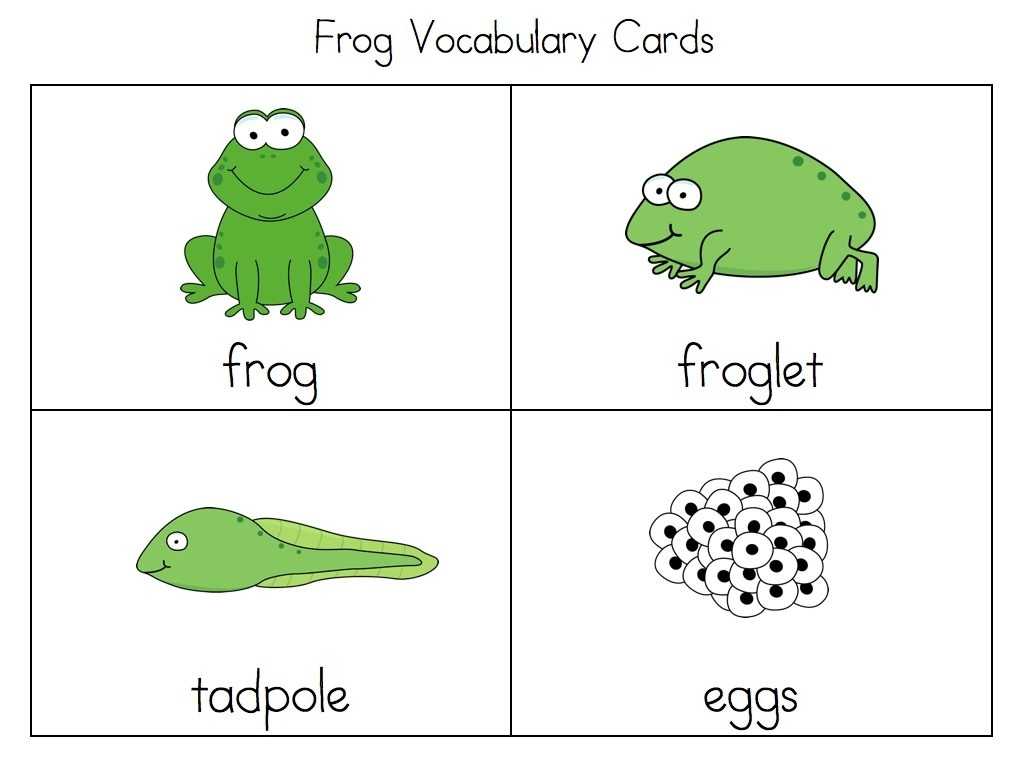 Frog Dissection Worksheet and Life Cycle A Frog for Kindergarten