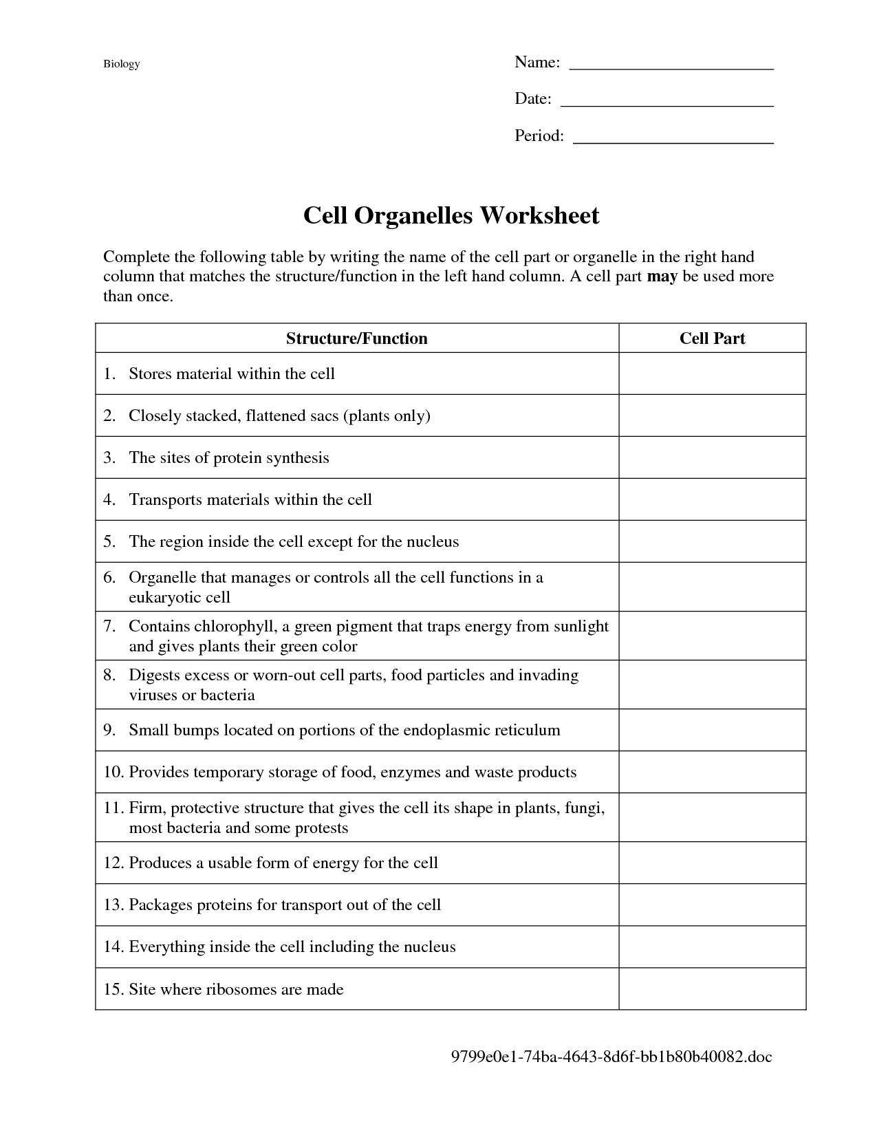 Functions Worksheet with Answers with Diagram Cell organelles originalstylophone