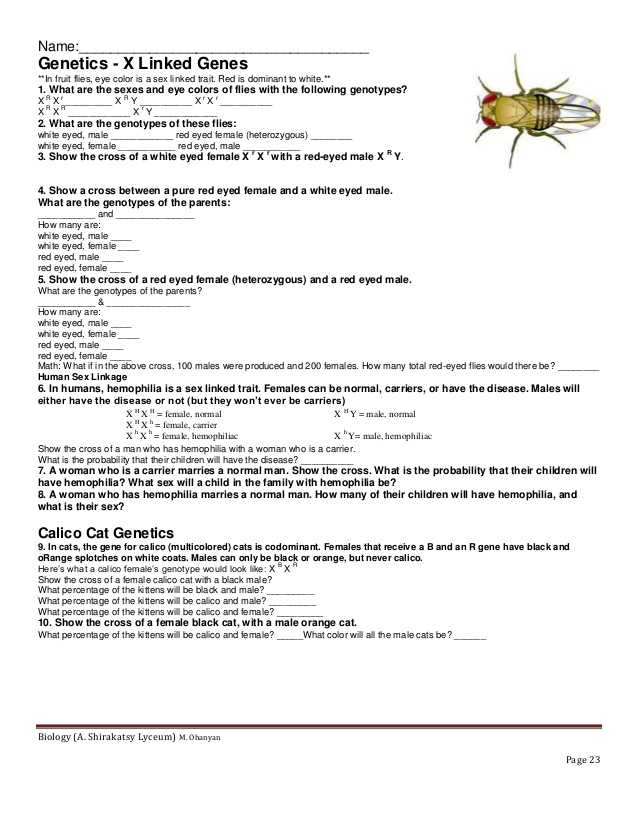Genetics Worksheet Middle School or X Biology Worksheet Kidz Activities