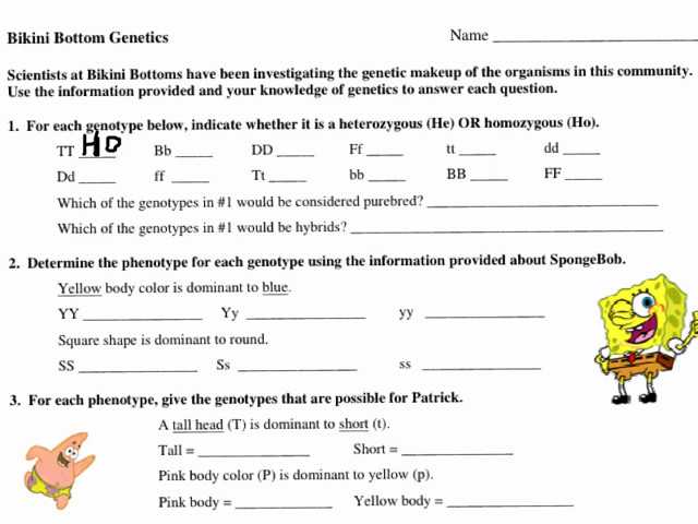 Genetics Worksheet Middle School together with Free Printable 7th Grade Science Worksheets Bikini Bottom Genetics