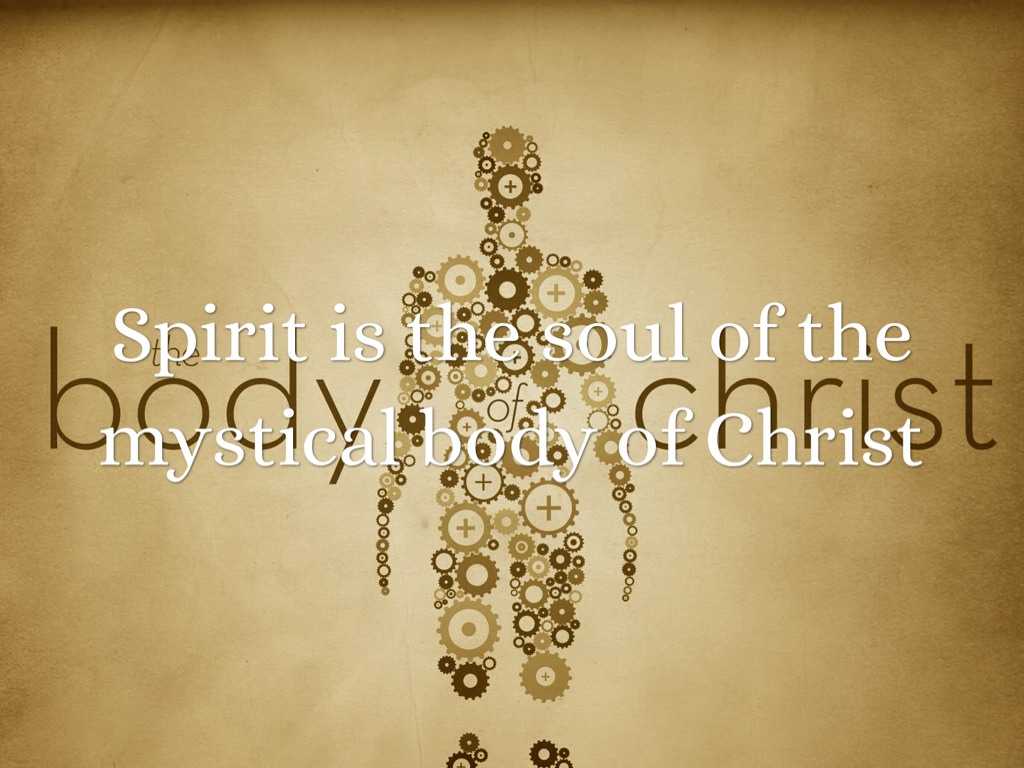 Gifts Of the Holy Spirit Worksheet Along with Temple the Holy Spirit by Steph Saloka
