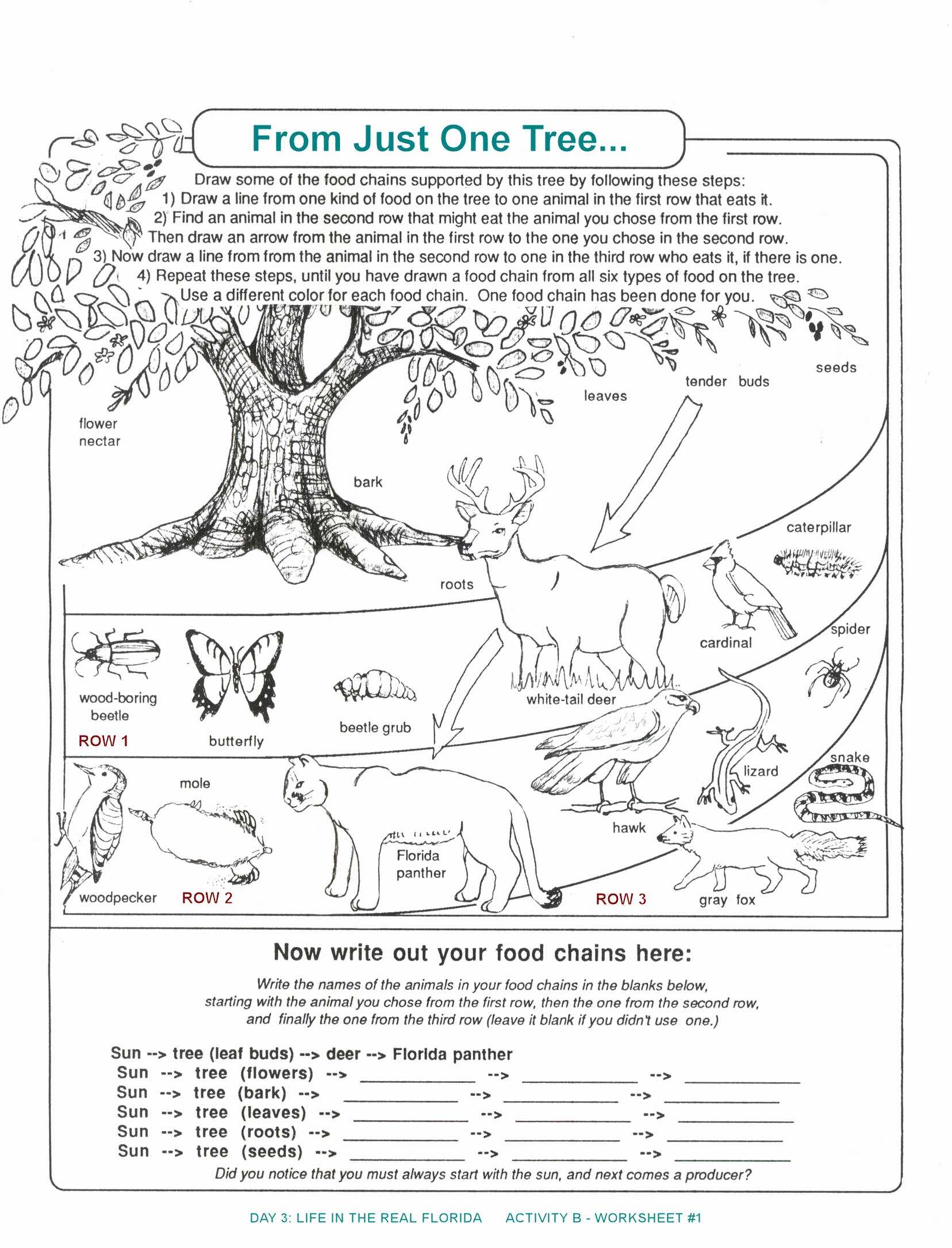 Glencoe World Geography Worksheet Answers Also Layers the Earth Worksheets Middle School Fresh 7th Grade Science