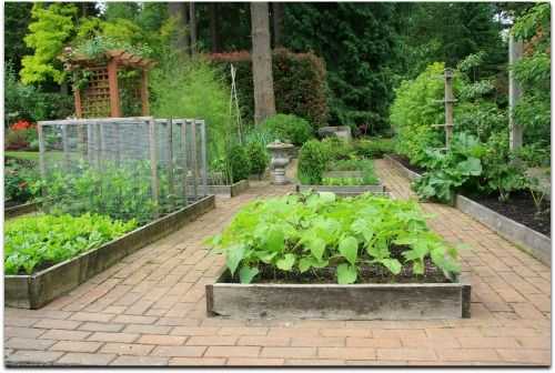 Growing Media for Landscape Plants Worksheet as Well as Free Raised Bed Ve Able Garden Plans and Worksheets Easy Steps