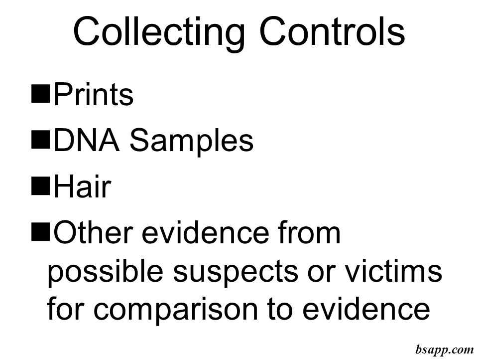 Hair and Fiber Evidence Worksheet Answers or Honors forensic Science Ppt