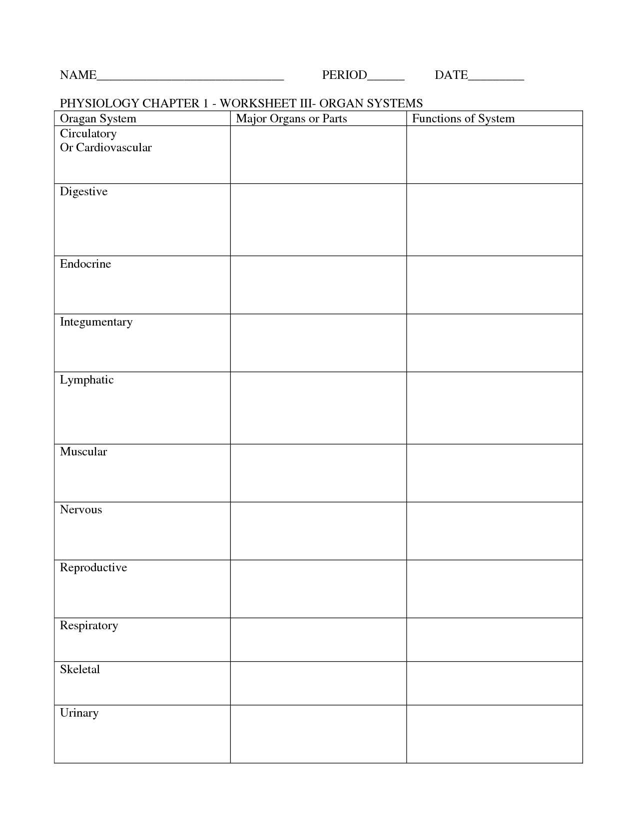 High School Vocabulary Worksheets with Ungewöhnlich High School Anatomy and Physiology Worksheets Galerie