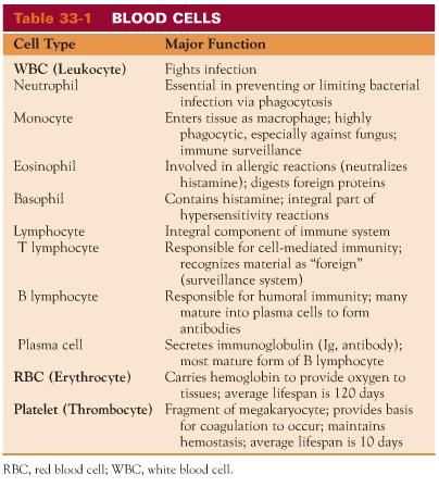 Human Blood Cell Typing Worksheet Answer Key and 75 Best Types Of Cells Images On Pinterest