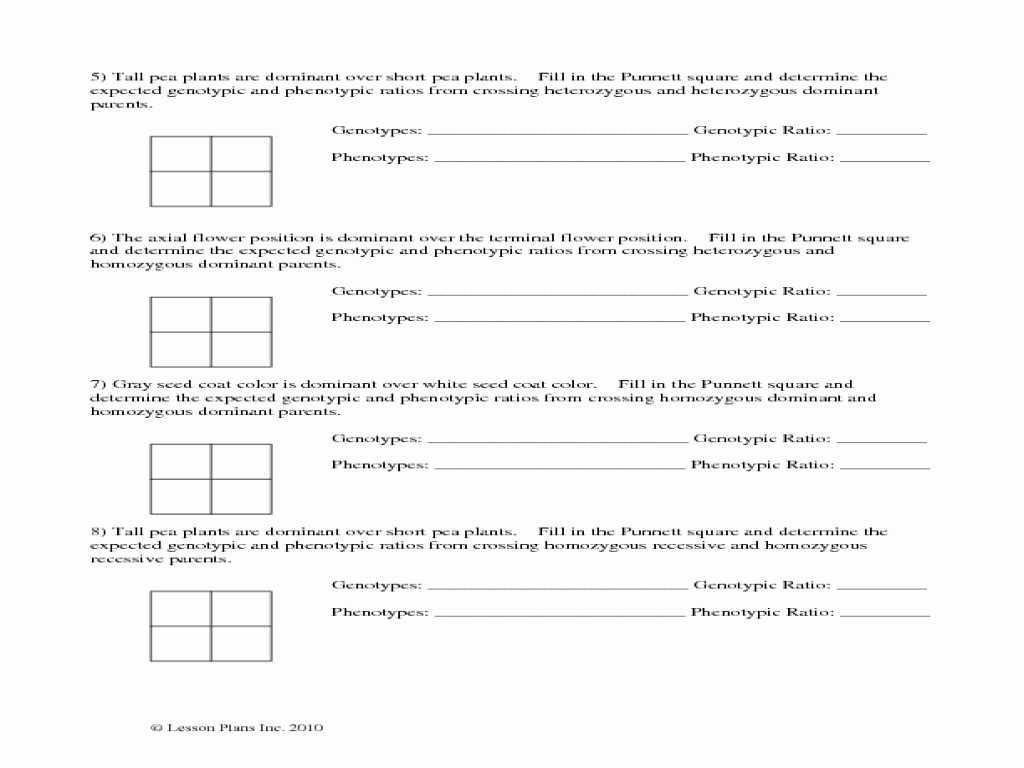 Ibc Code Analysis Worksheet with Punnett Square Worksheet with Answers Worksheet Resume