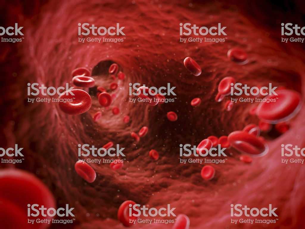 Immortal Cancer Cells Worksheet Answers Also Blood Cells Stock and More Of Bacterium istock