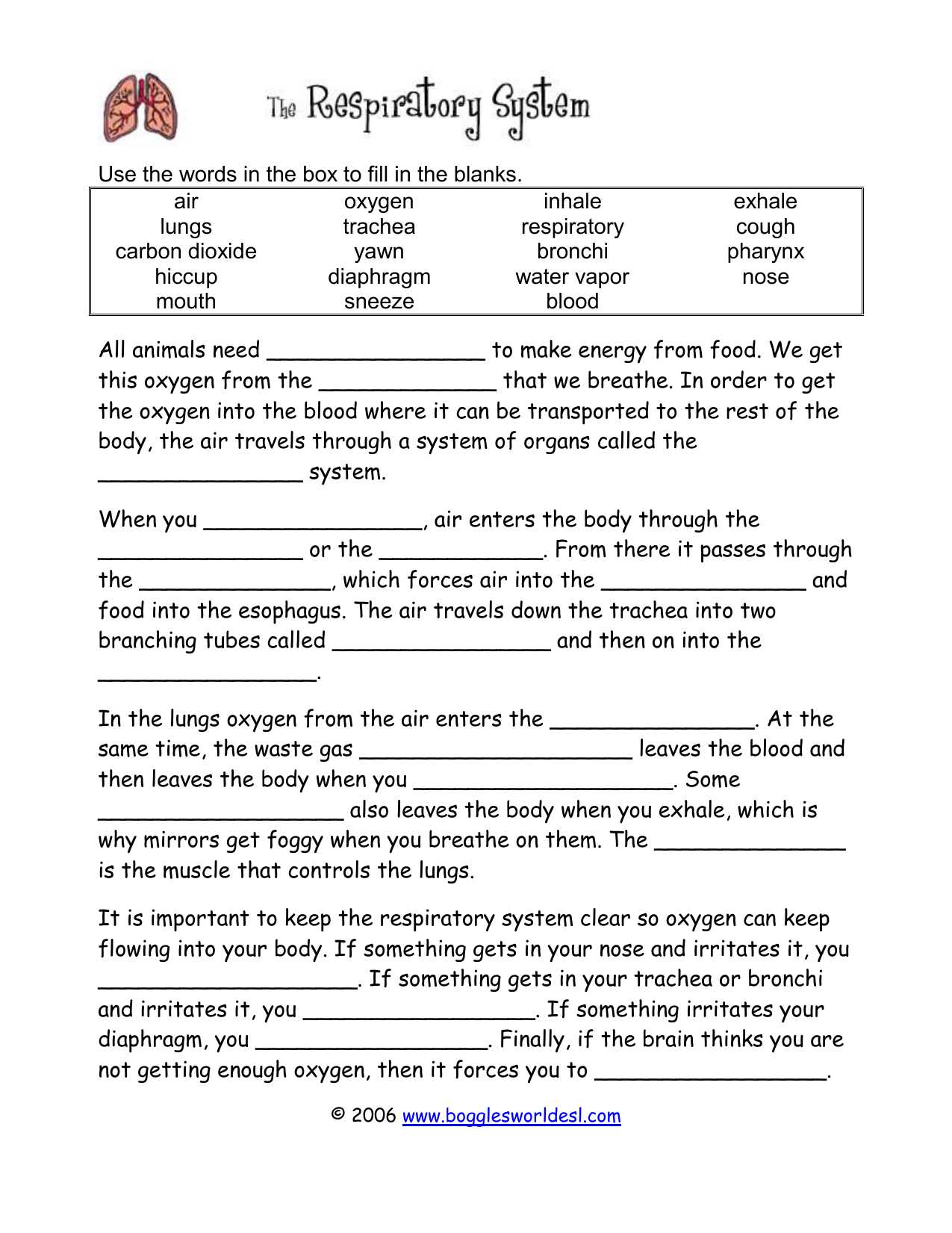 Introduction to Energy Worksheet Answer Key with tolle Anatomy and Physiology Nervous System Worksheet Fotos