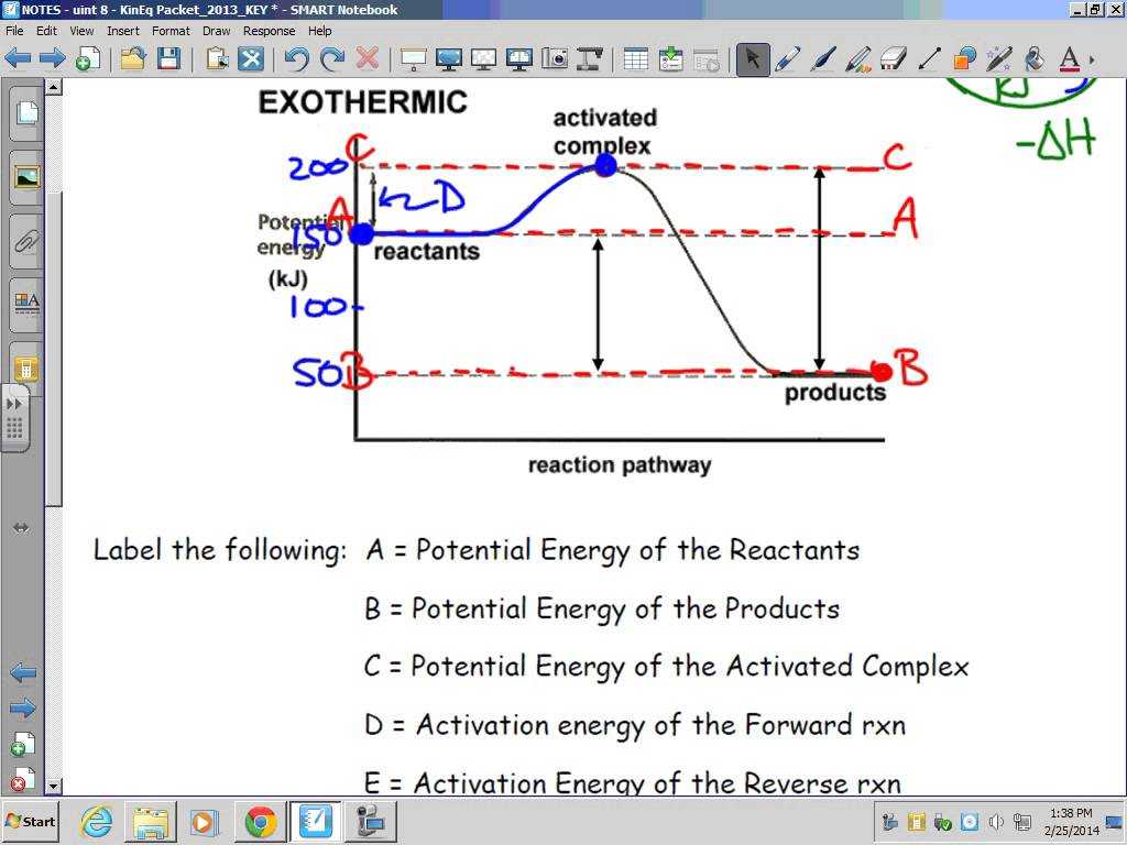 Kinetic and Potential Energy Worksheet Key and Kinetics thermodynamics and Equilibrium Exothermic Potential