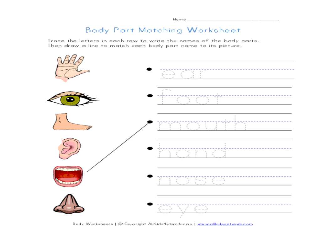 La Famille French Worksheet or Free Printable Body Parts Matching Worksheet Goodsnyc