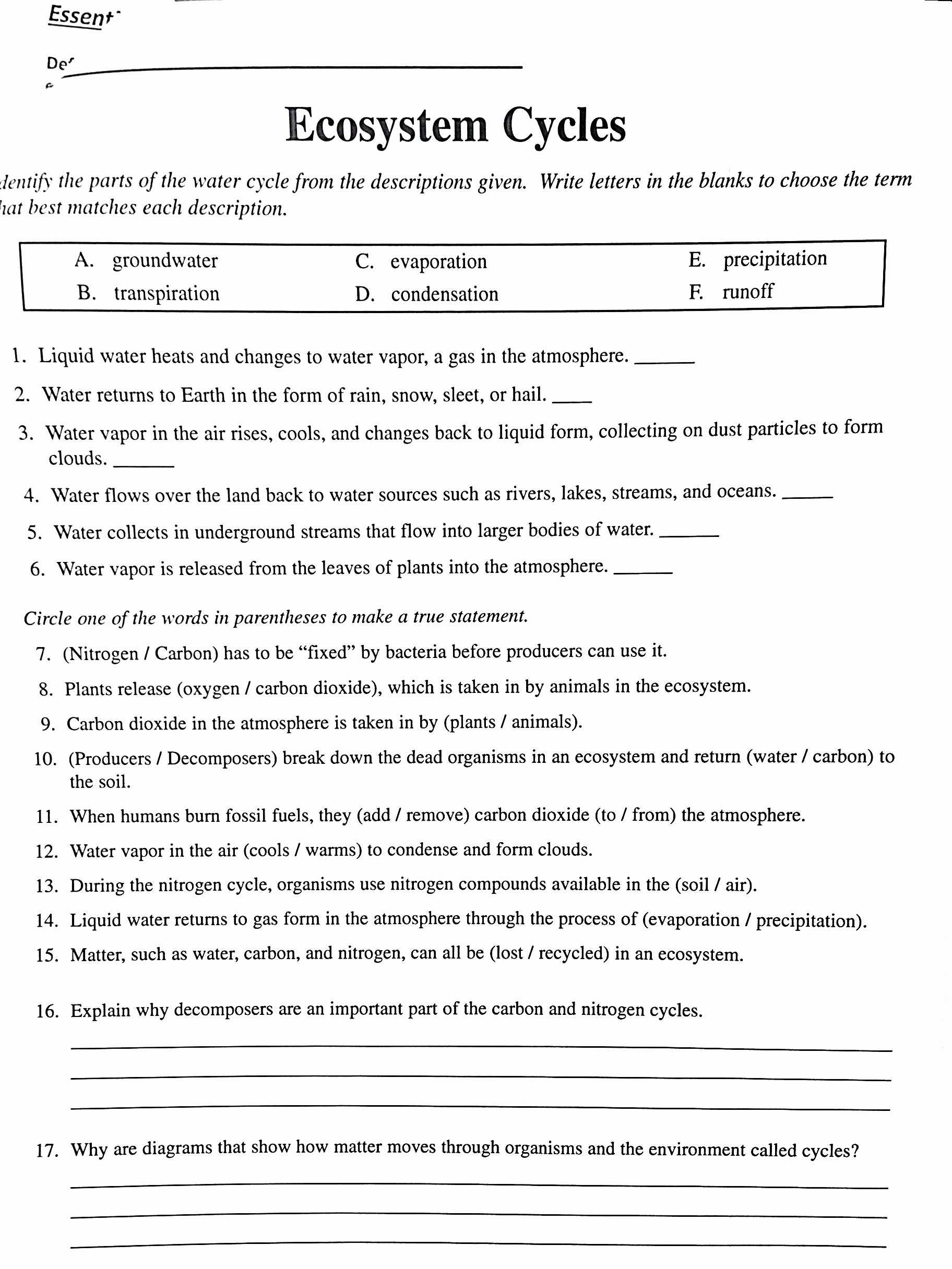 Label the Water Cycle Worksheet as Well as Carbon Cycle Worksheet Answers Gallery Worksheet Math for Kids