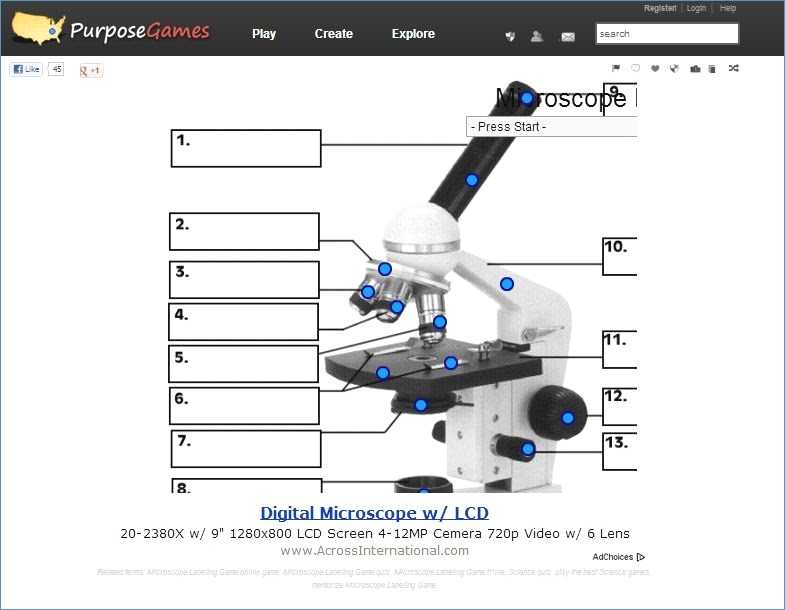 Microscope Parts and Use Worksheet Answers as Well as Microscope Labeling Worksheet