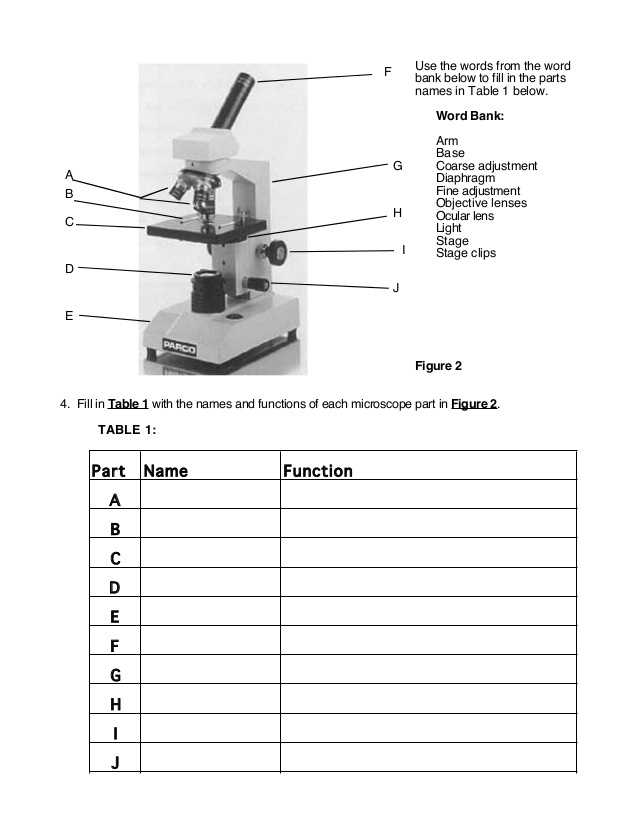 Microscope Parts and Use Worksheet Answers as Well as Using A Pound Light Microscope Lab Answers
