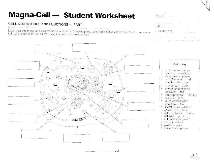 Microscope Parts and Use Worksheet Answers with Parts A Microscope Worksheet Answers Parts Microscope