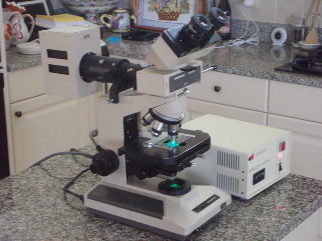 Microscope Slide Observation Worksheet Along with Olympus Bh2 Fluorescence Microscope Plete Ebay