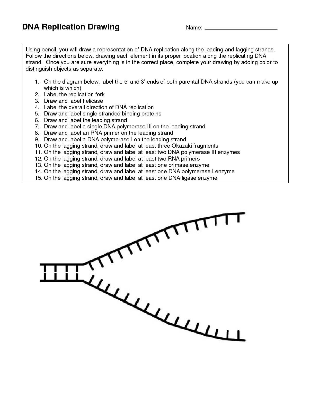 Molecular Geometry Practice Worksheet with Answers Along with 23 Inspirational Dna Replication Practice Worksheet