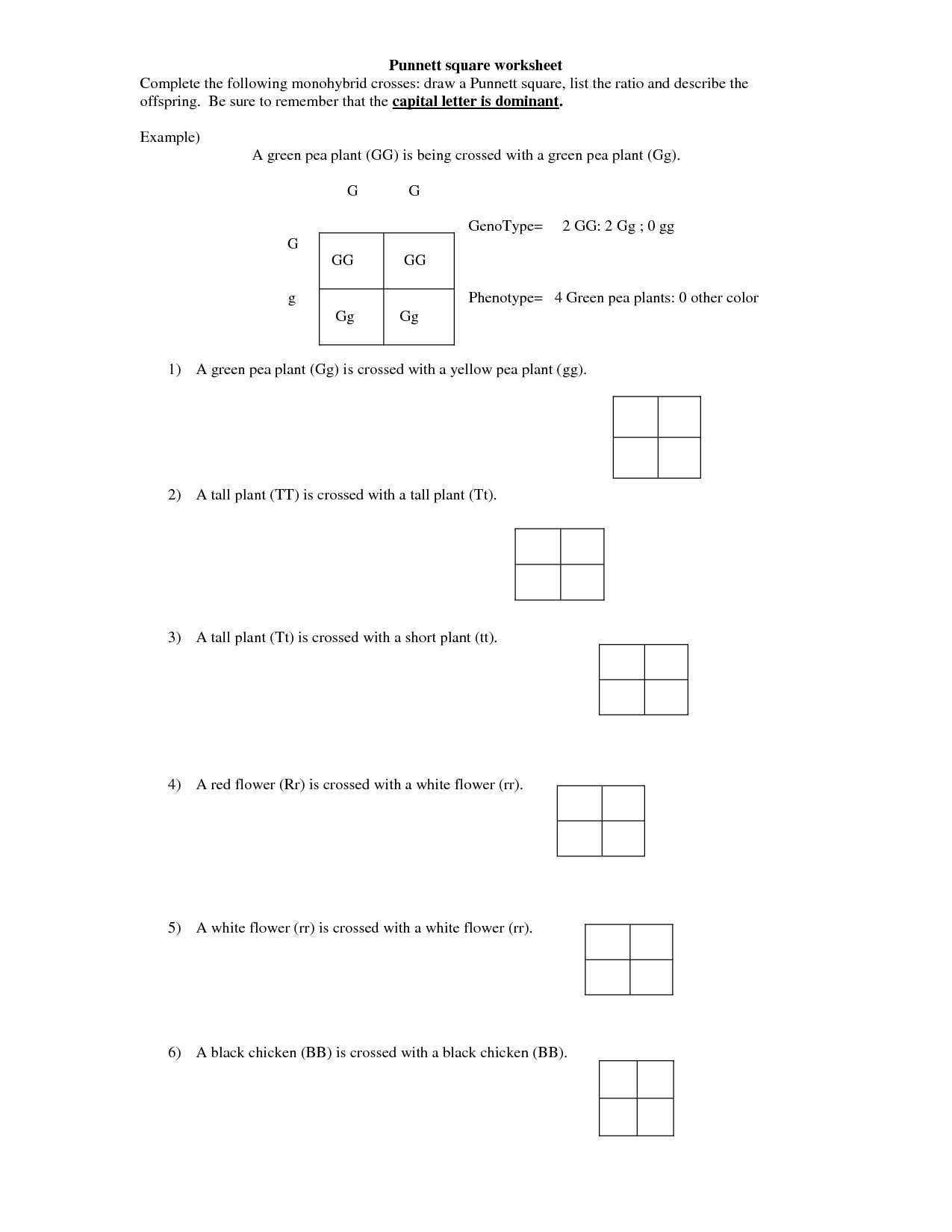 Monohybrid Cross Problems Worksheet with Answers and Punnett Square Worksheet 1 Answer Key New Dihybrid Crosses Worksheet