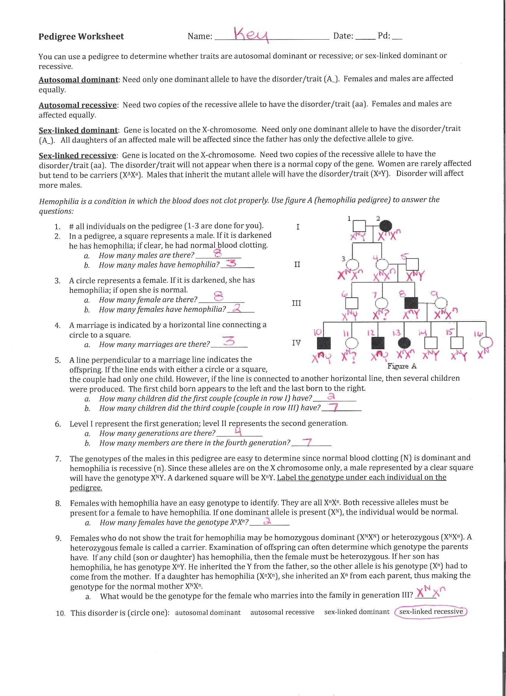 Monohybrid Cross Problems Worksheet with Answers or Worksheet Genetics Pedigree Cadrecorner