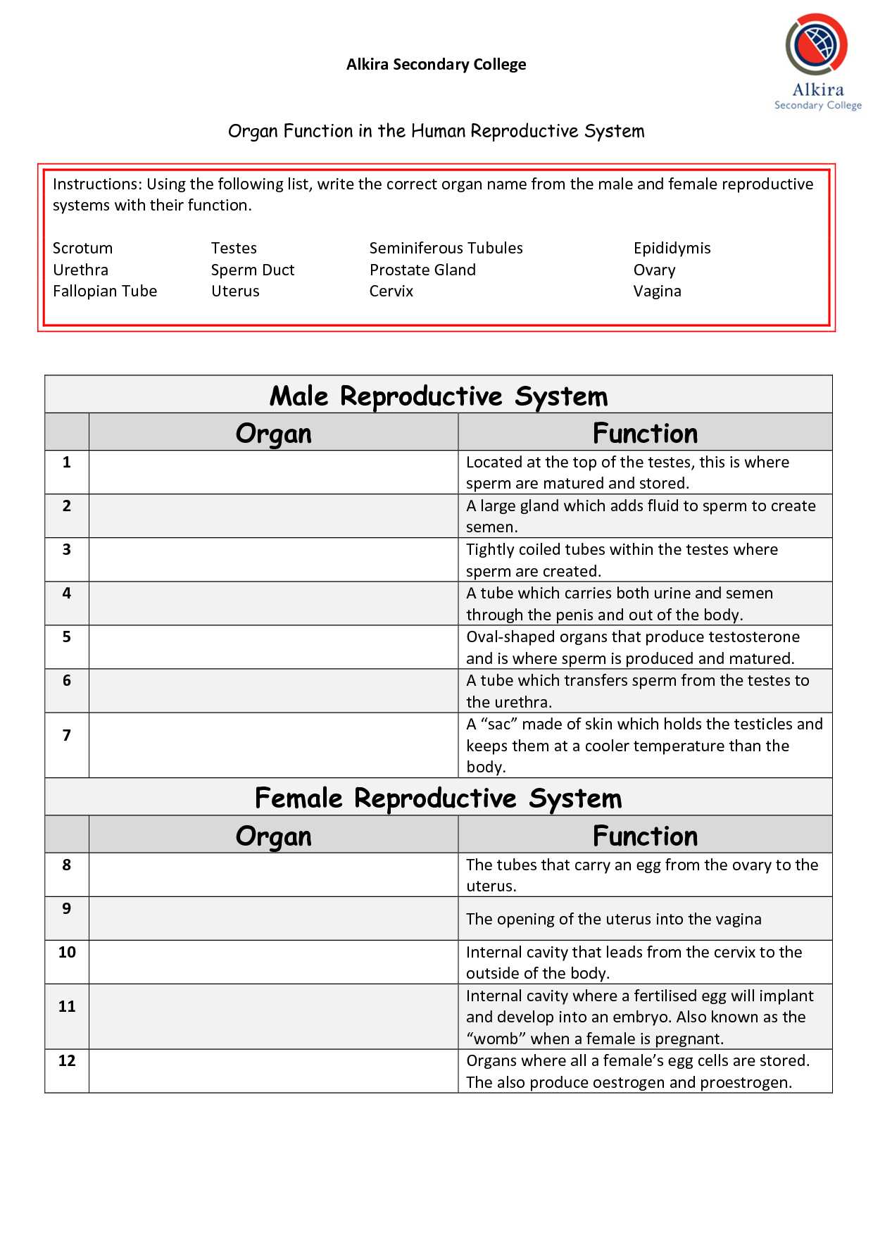 Multiple Alleles Blood Type Worksheet Answers and Google Search Human Reproductive System