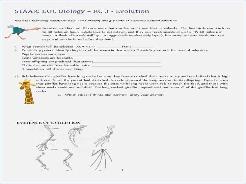 Natural Selection Worksheet as Well as Worksheet 49 Modern Evolution and Natural Selection Worksheet Ideas