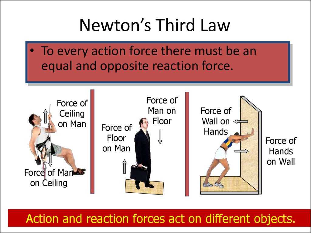 Newton's Laws Review Worksheet together with Tranlational Equilibrium Online Presentation