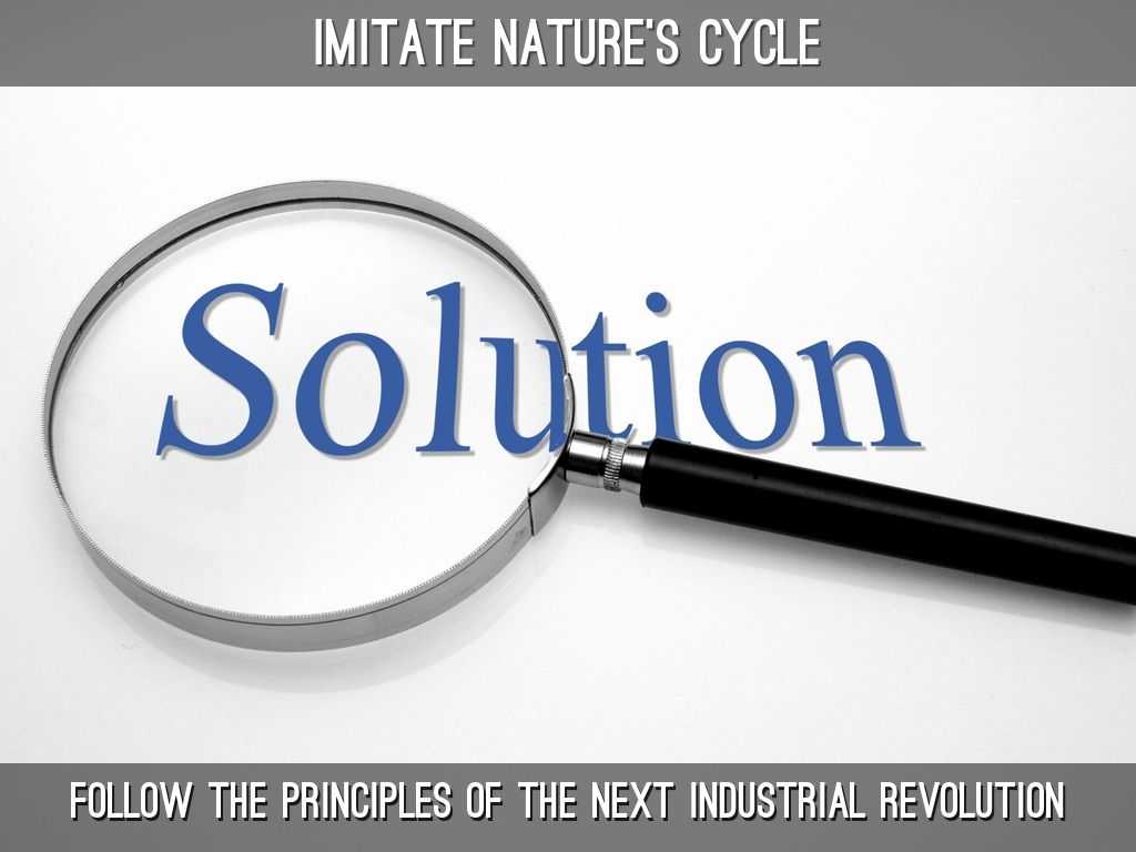 One solution No solution Infinite solutions Worksheet and Case Study by Chrystal Molbog