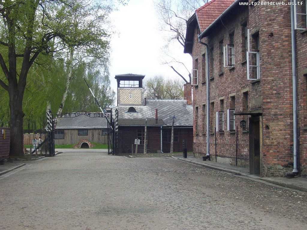 Oprah and Elie Wiesel at Auschwitz Worksheet Answers with Owicim Auschwitz Awesomelandscapesbit