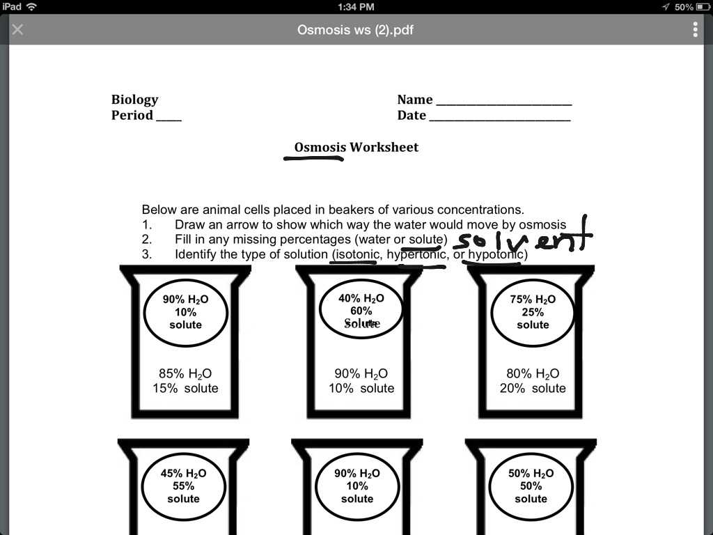 Osmosis and tonicity Worksheet Answers or Transport Across Cell Membrane Worksheet Answers Diffusion A