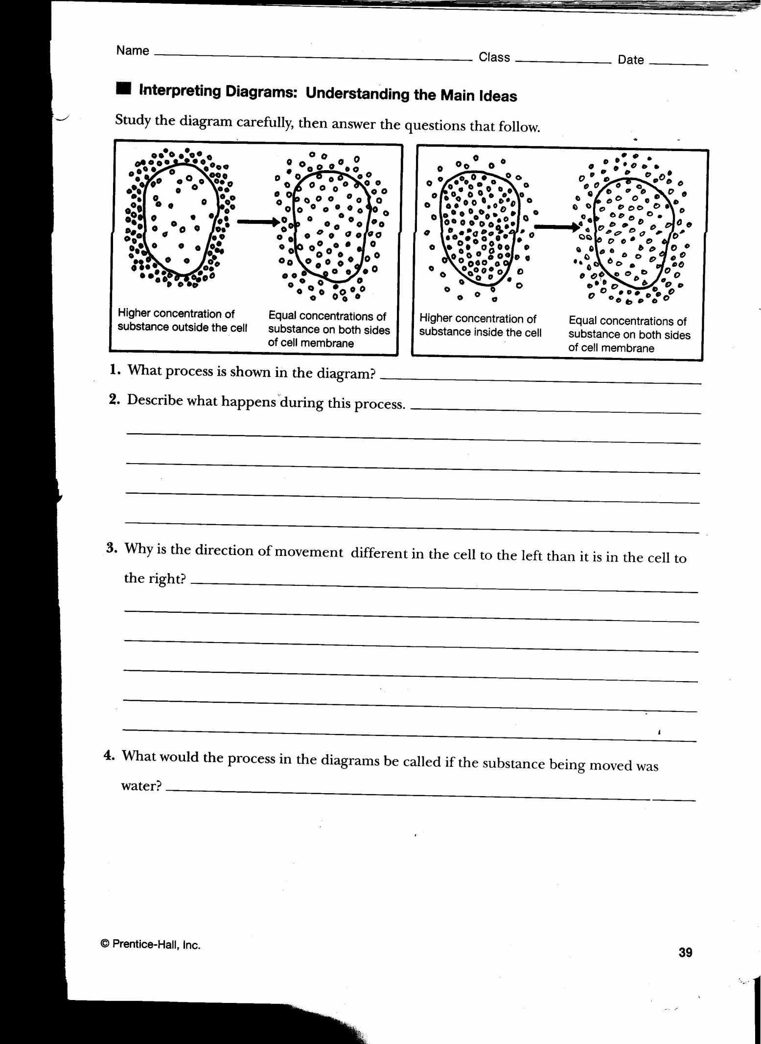 Osmosis Jones Video Worksheet with Diffusion Osmosis Worksheet Gallery Worksheet Math for Kids