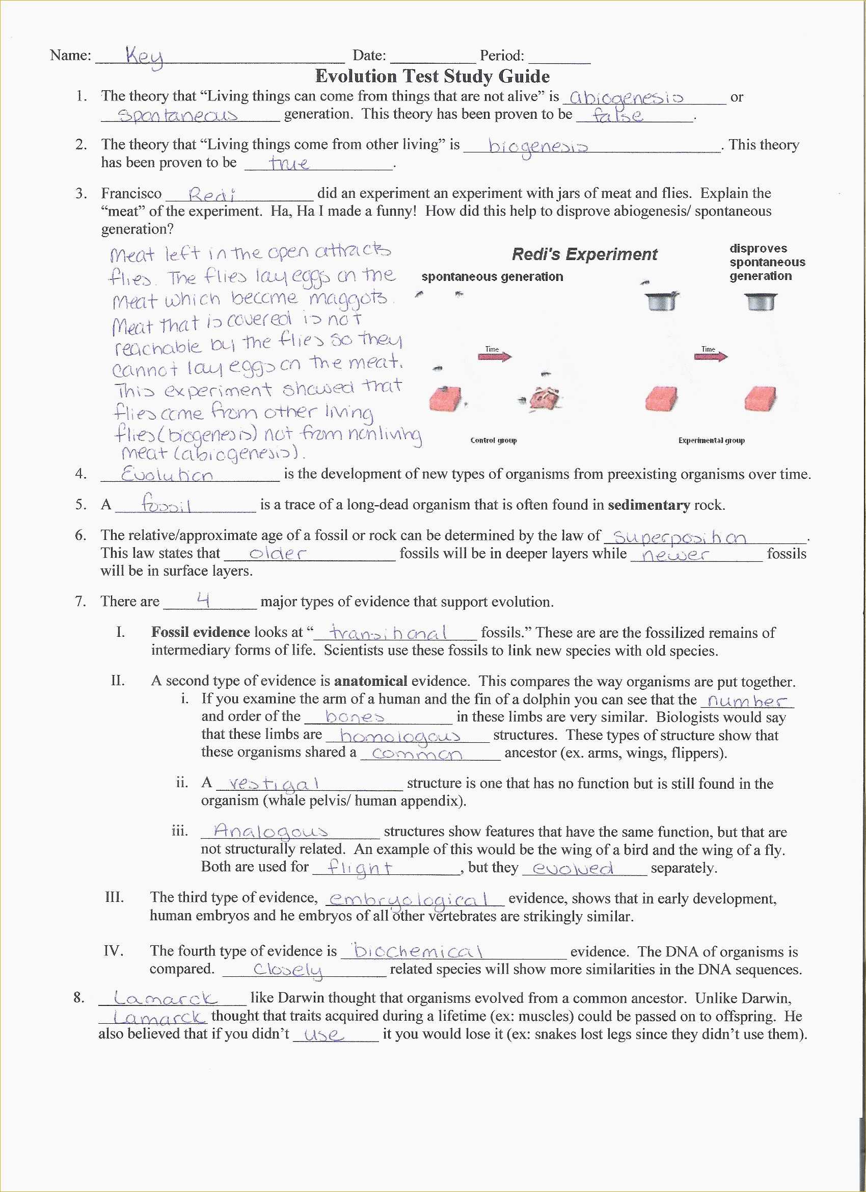 Osmosis Worksheet Answers as Well as Transport In Cells Worksheet Answers