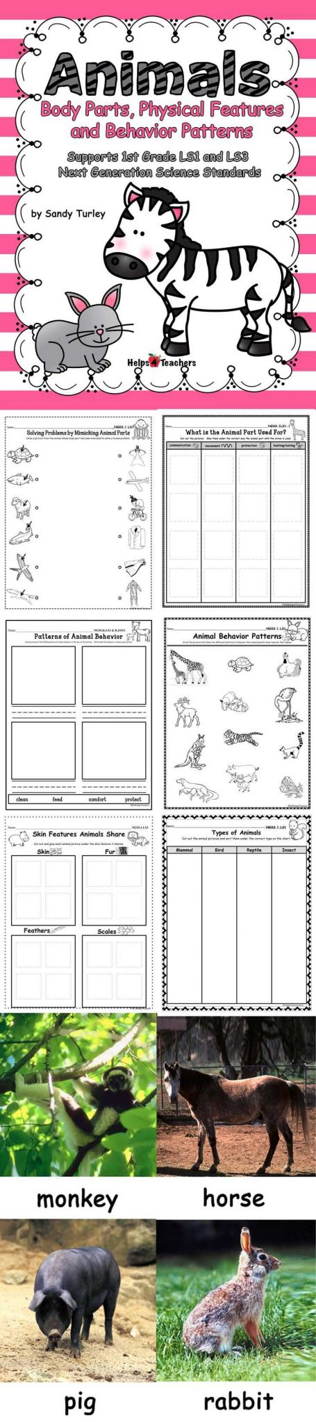 Parts Of A Check Worksheet Also 964 Best Classroom Ideas Images On Pinterest