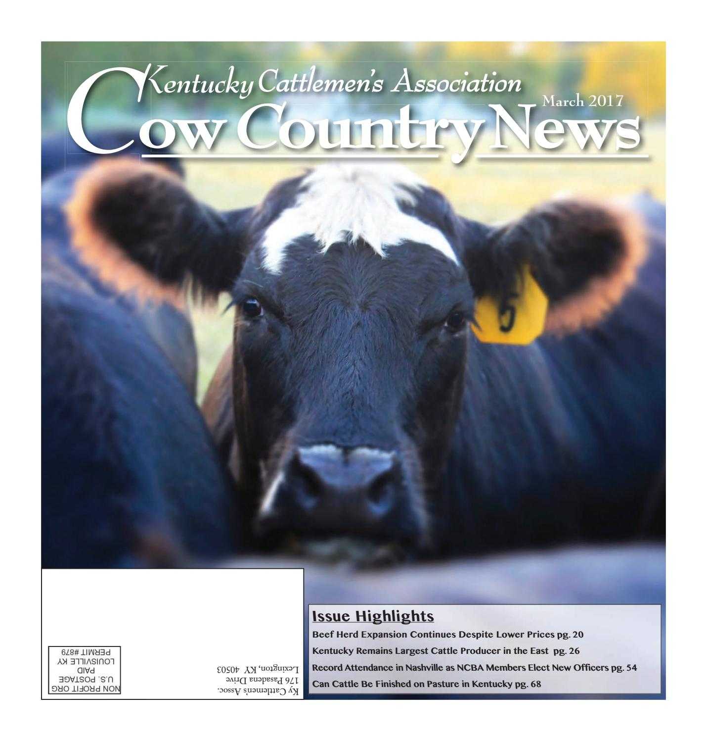 Parts Of A Dairy Cow Worksheet together with Cow Country News March 2017 by the Kentucky Cattlemen S