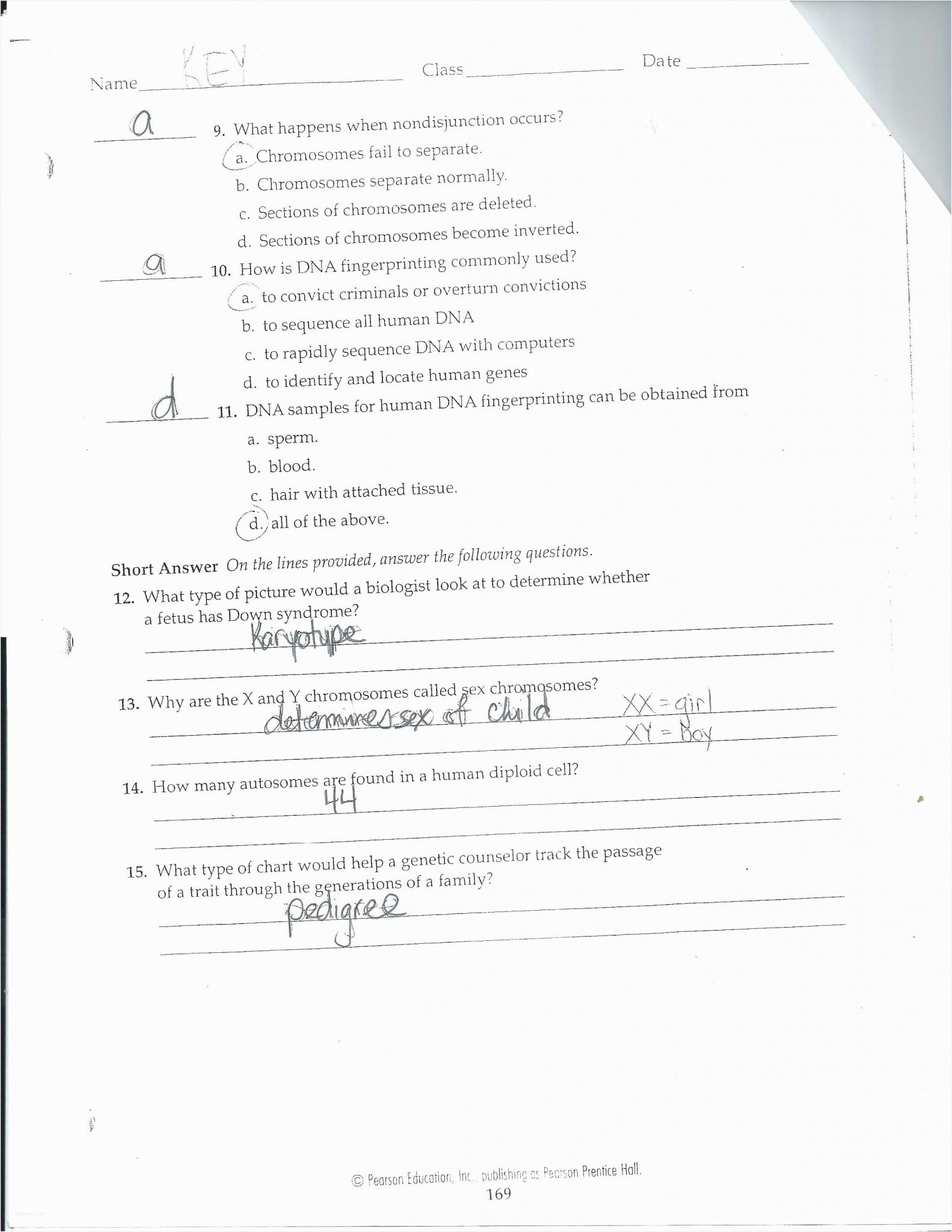Pearson Education Inc Worksheet Answers as Well as Good Chapter 14 the Human Genome Worksheet Answer Key – Sabaax