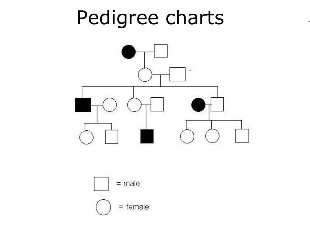 Pedigree Worksheet Biology as Well as Autosomal Recessive Pedigree Chart