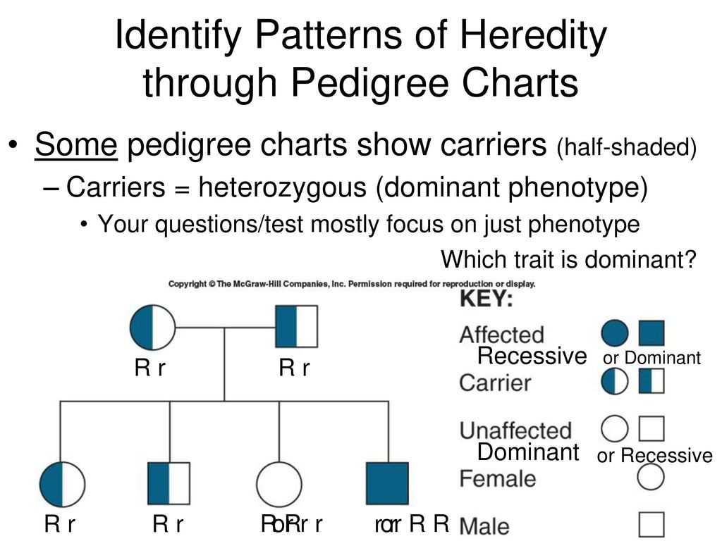 Pedigree Worksheet Biology together with Pedigree Chart Practice Fresh Free Genealogy Charts and form