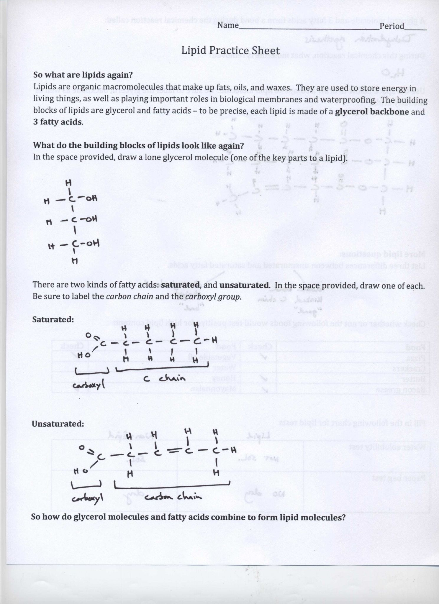Ph and Poh Calculations Worksheet with Biochemistry Basics Worksheet Answers