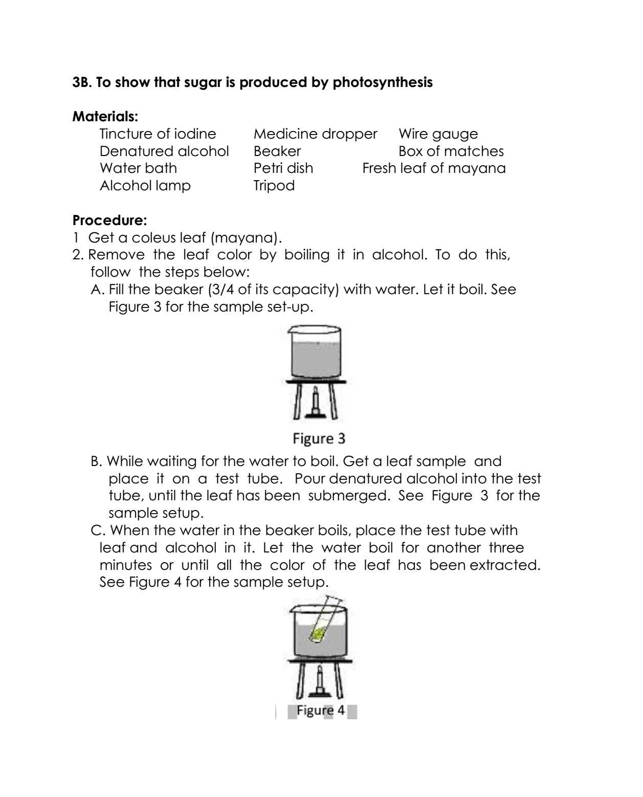 Photosynthesis and Respiration Worksheet Answers Also Science Concepts and Questions K to 12 September 2015