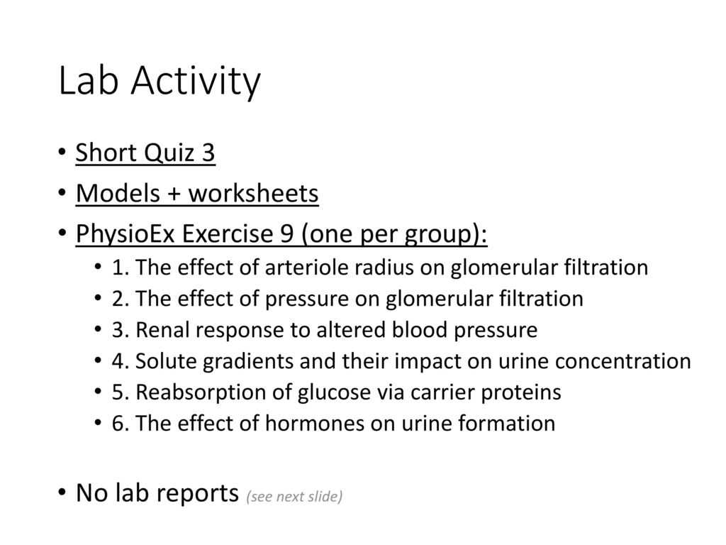 Physical Education Worksheets together with Renal Physiology Laboratory Exercise Kaap Ppt Video Online D