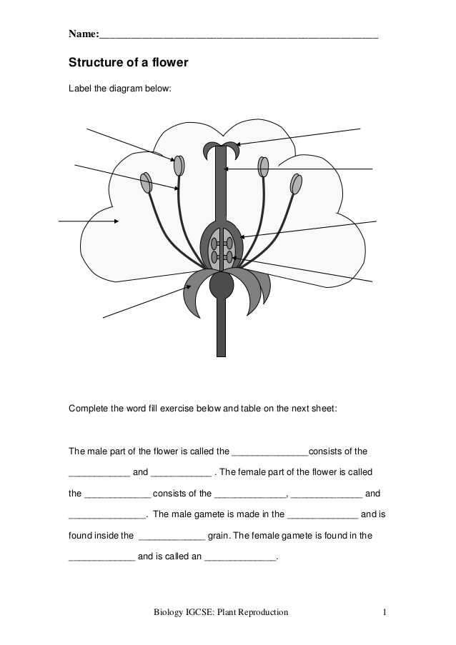Plant Reproduction Worksheet Also Name Structure Of A Flower Label the Diagram Below Plete the W