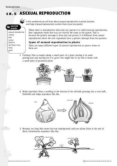 Plant Reproduction Worksheet Also Study Guide Ual and A Ual Reproduction Answers Pdf