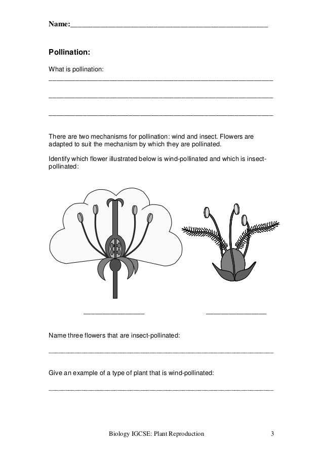 Plant Reproduction Worksheet and 204 Best Science Images On Pinterest