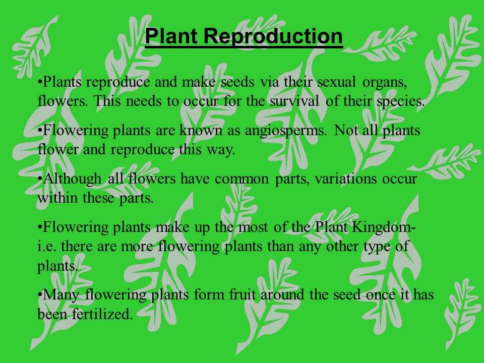 Plant Reproduction Worksheet as Well as Flowers and Plant Reproduction Line Lesson 1 Watch This First and