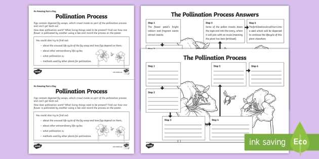 Plant Reproduction Worksheet together with Living Things and their Habitats Describe the Life