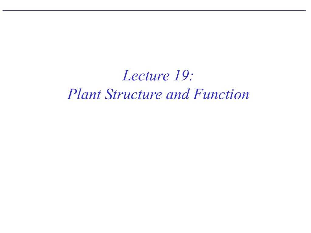 Plant Structure and Function Worksheet or Ppt Lecture 19 Plant Structure and Function Powerpoint Pr
