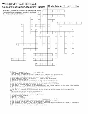 Plate Tectonics Crossword Puzzle Worksheet Answers or Crossword Puzzle Cell Respirationswers Gallery Cellular Worksheet