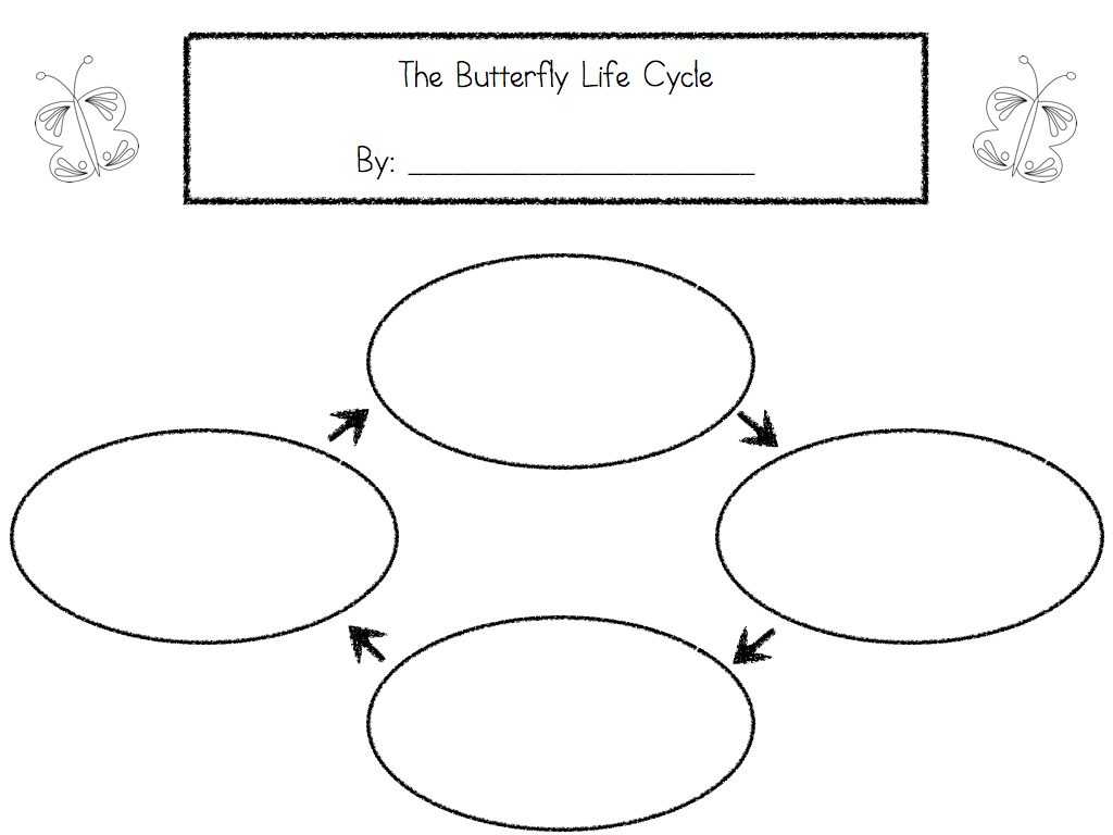 Point Of View Worksheet 15 together with 28 Of Life Cycle Blank Template Dot Stand