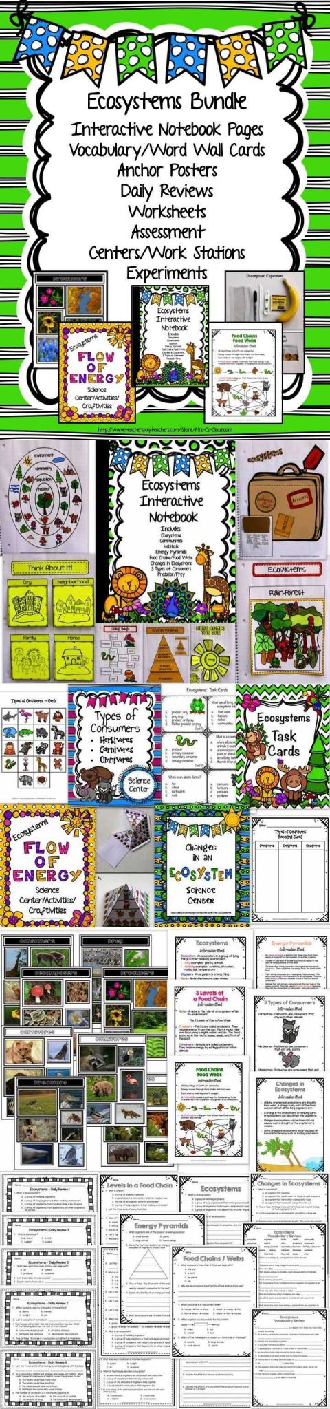 Population Community and Ecosystem Worksheet Answer Key together with 1000 Best Teaching Ideas Teaching Resources Images On Pinterest